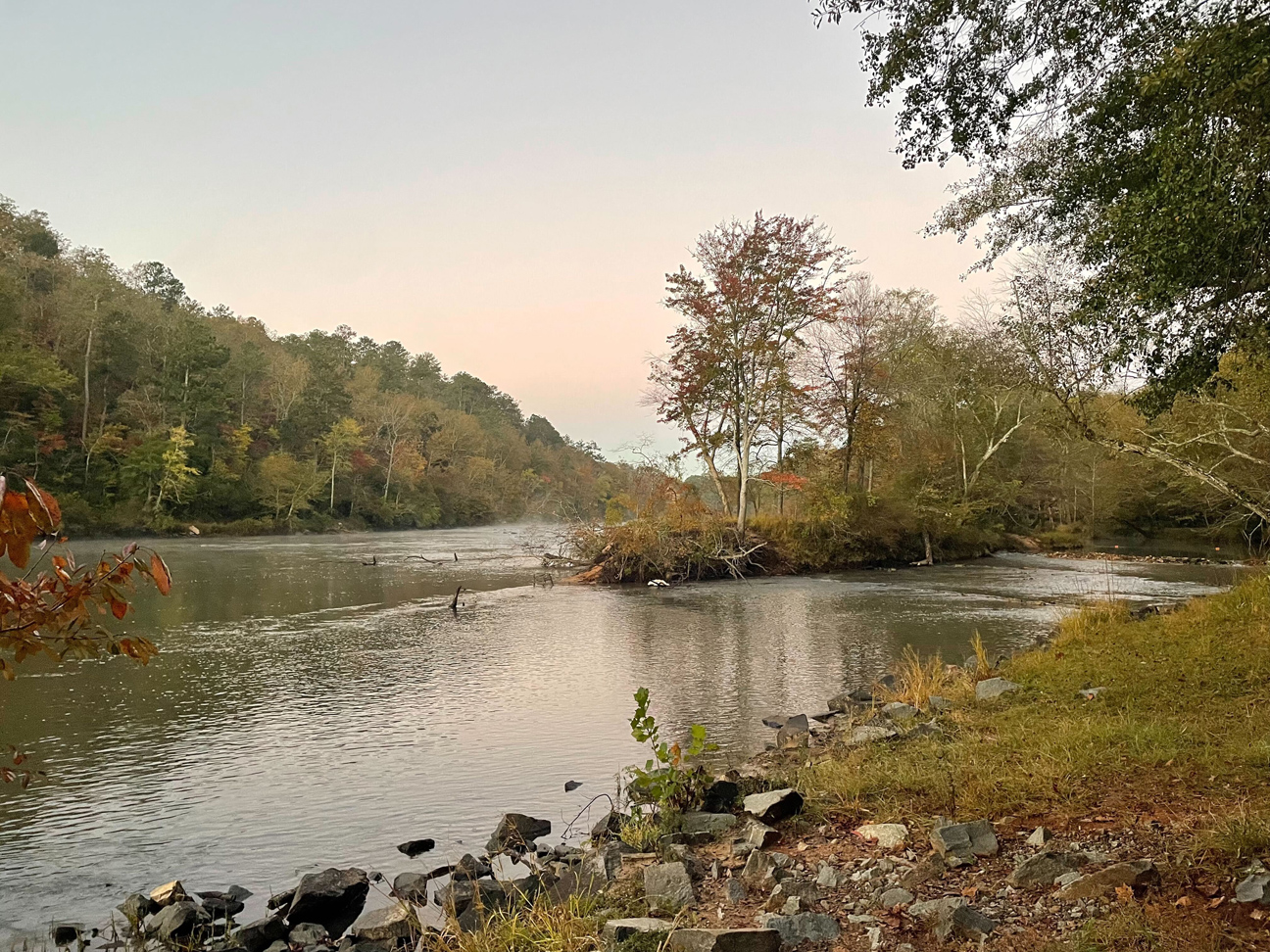 Competition registration